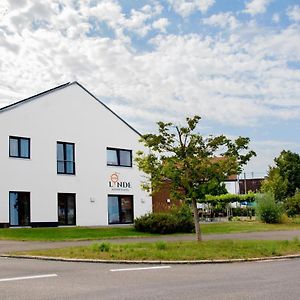 Gasthof Linde - Hotel Blum